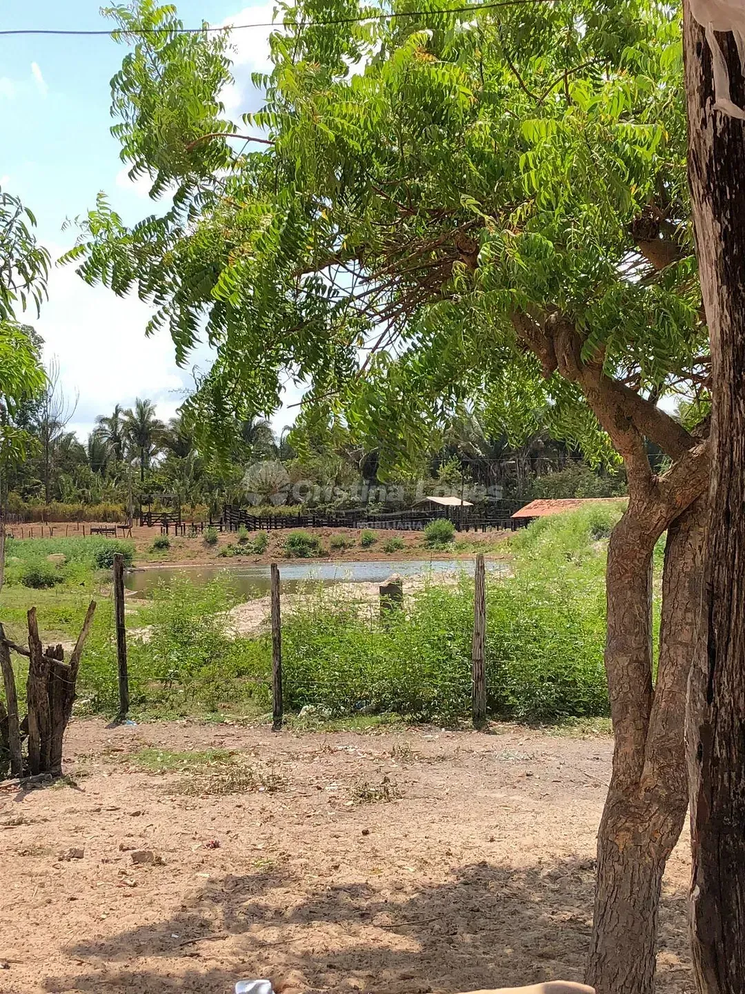 Fazenda, 33 hectares - Foto 1