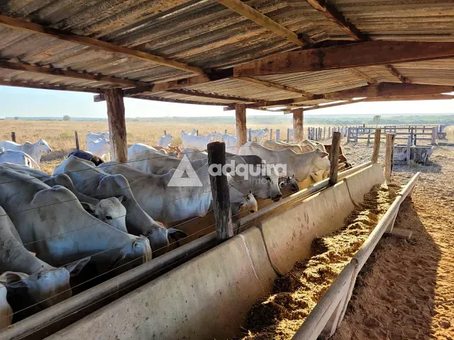 Fazenda à venda, no bairro Rural em Nova Maringá