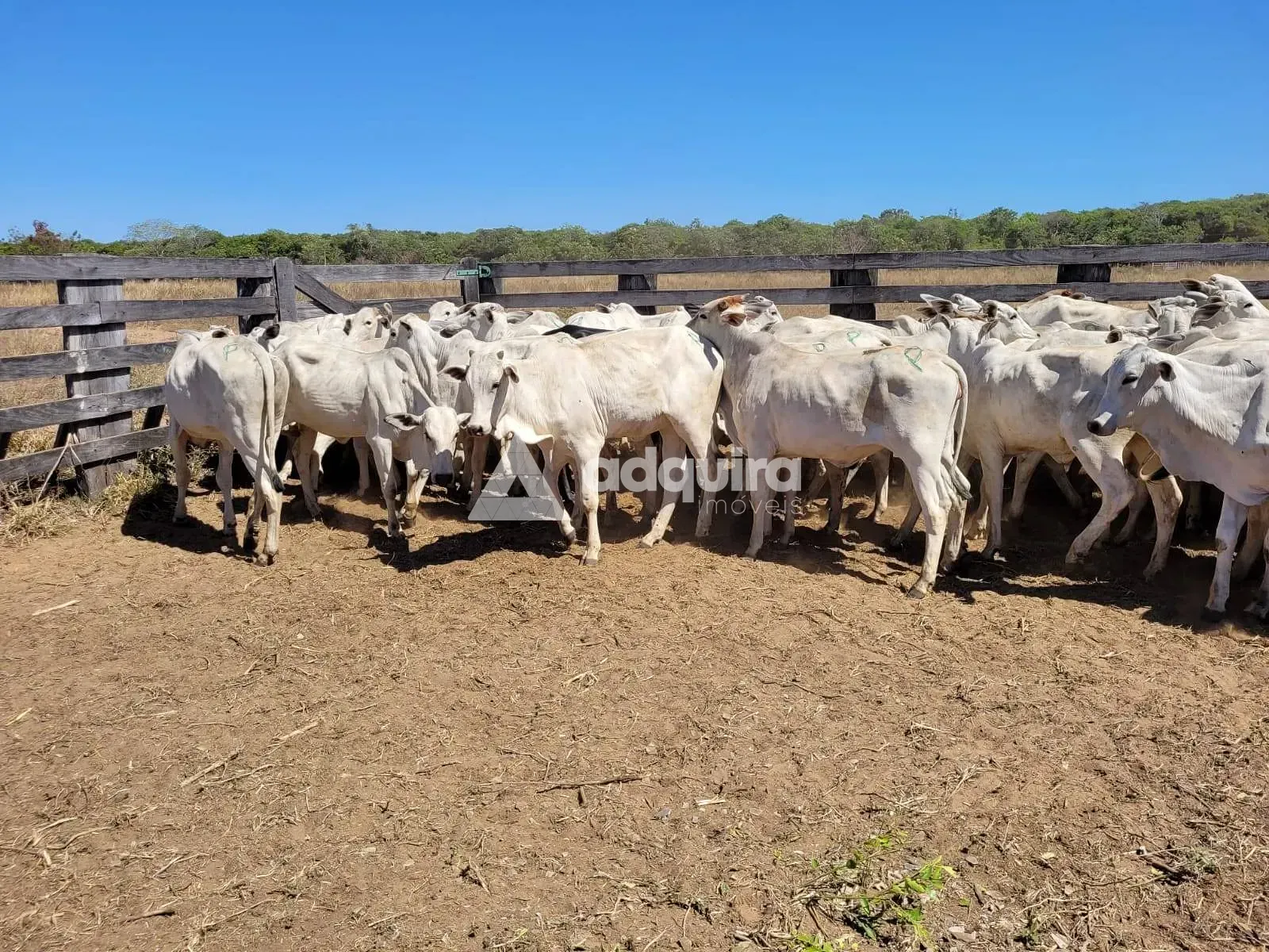 Fazenda, 10 m² - Foto 5