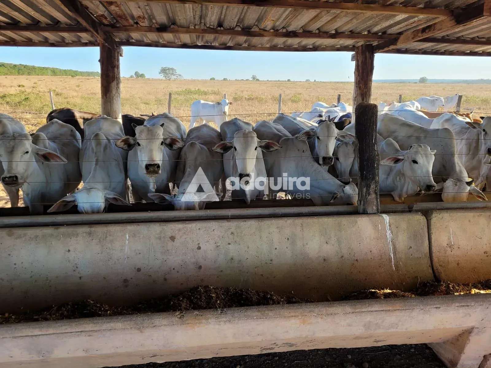 Fazenda, 10 m² - Foto 6
