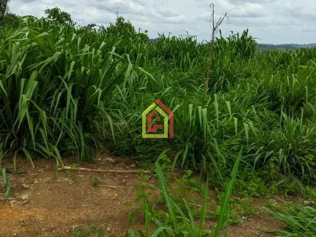 Fazenda com 5324000m², à venda, no bairro Zona Rural em Itupiranga