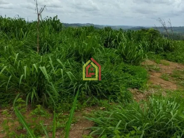 Fazenda com 5324000m², à venda, no bairro Zona Rural em Itupiranga