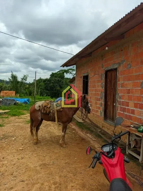 Rural à venda com 5324000m² de terreno no Zona Rural, Itupiranga (PA) — foto 3 de 9