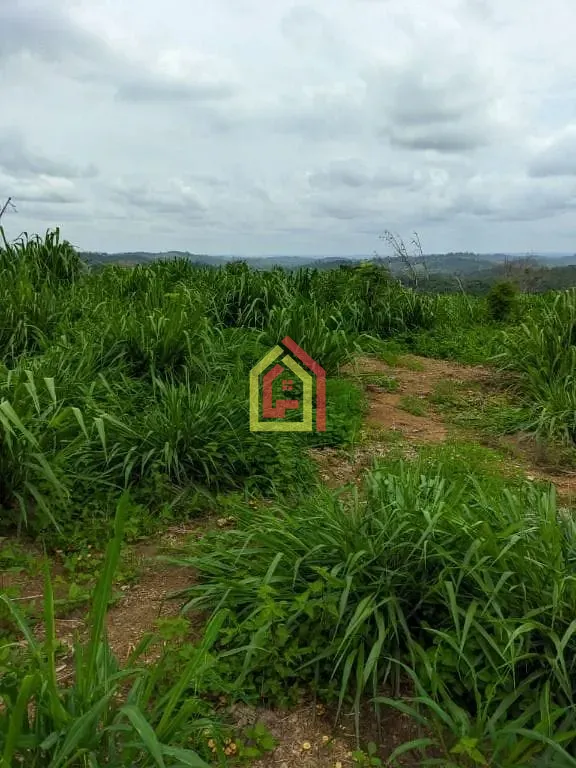 Rural à venda com 5324000m² de terreno no Zona Rural, Itupiranga (PA) — foto 6 de 9