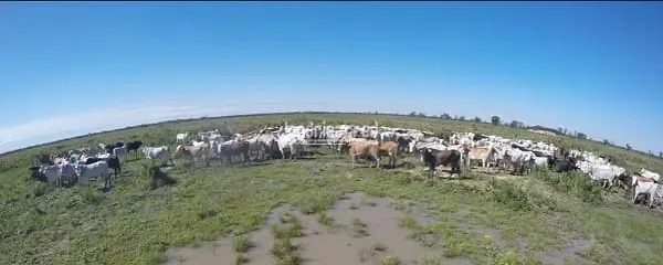 Fazenda, 10 m² - Foto 6