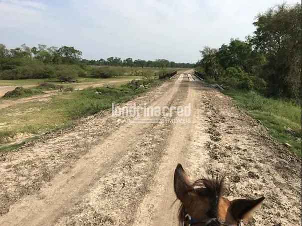 Fazenda, 10 m² - Foto 11