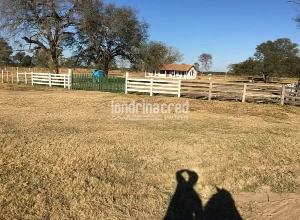 Fazenda, 10 m² - Foto 14