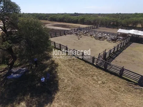 Fazenda, 10 m² - Foto 15