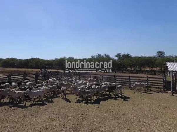 Fazenda, 10 m² - Foto 16