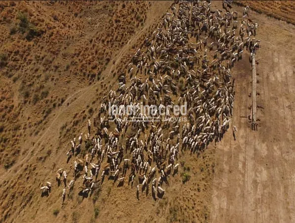 Fazenda, 10 m² - Foto 17