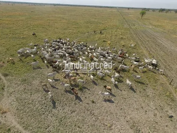 Fazenda, 10 m² - Foto 21