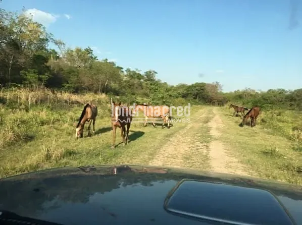 Fazenda, 10 m² - Foto 22