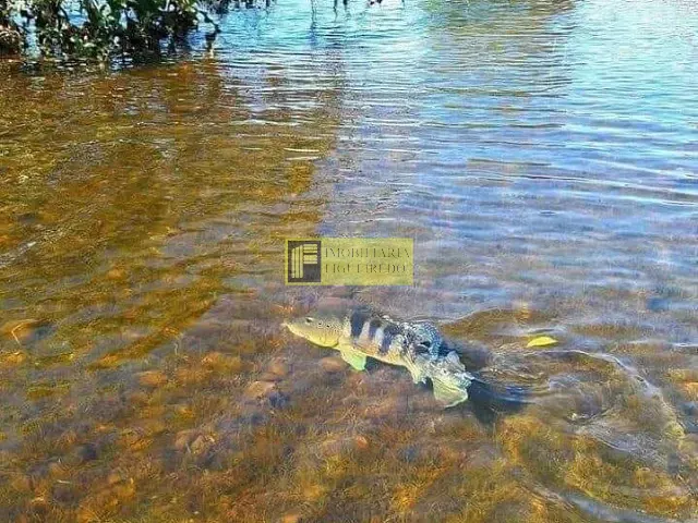 Rancho com 70m² 2 quartos e 1 banheiro, para alugar, no bairro Sobradinho em Adolfo