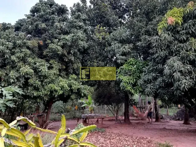 Rancho com 70m² 2 quartos e 1 banheiro, para alugar, no bairro Sobradinho em Adolfo