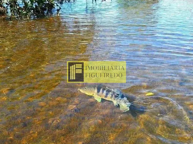 Rancho com 70m² 2 quartos e 1 banheiro, para alugar, no bairro Sobradinho em Adolfo