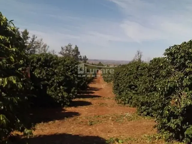 Fazenda com 1560000m², à venda, no bairro Centro em São Gotardo
