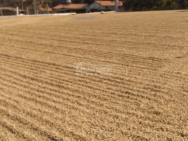 Fazenda com 1560000m², à venda, no bairro Centro em São Gotardo