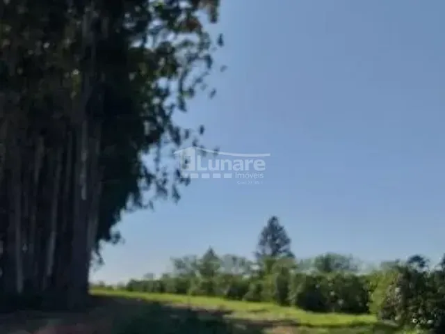 Fazenda com 1560000m², à venda, no bairro Centro em São Gotardo