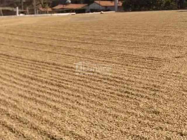 Fazenda com 1560000m², à venda, no bairro Centro em São Gotardo