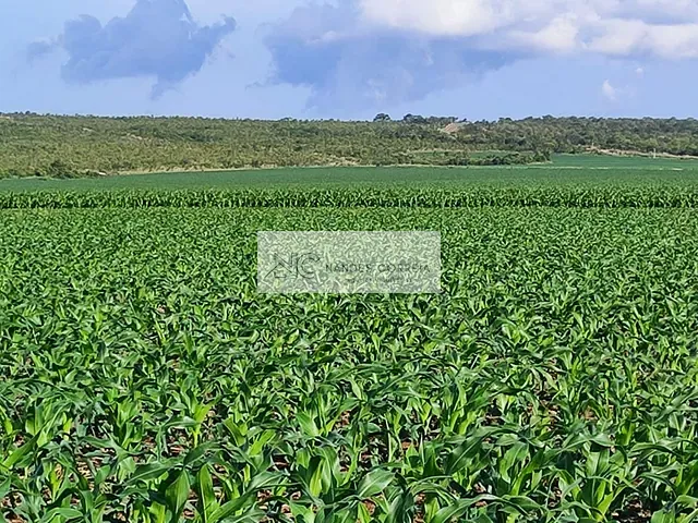 Fazenda com 73000000m² 4 quartos e 3 banheiros, à venda, no bairro RURAL em Balsas