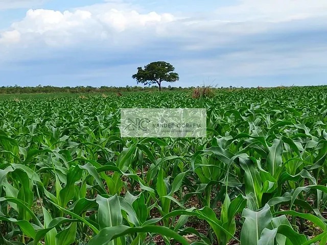 Fazenda com 73000000m² 4 quartos e 3 banheiros, à venda, no bairro RURAL em Balsas