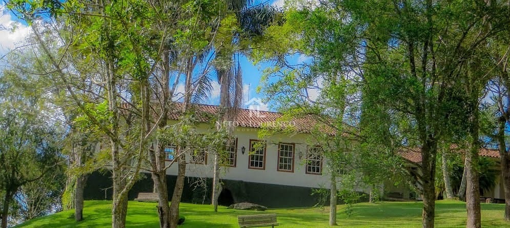 Fazenda-Sítio-Chácara, 265 hectares - Foto 3