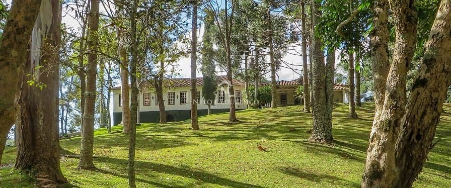 Fazenda-Sítio-Chácara, 265 hectares - Foto 4