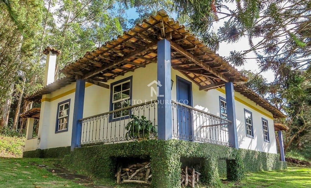 Fazenda, 265 hectares - Foto 7