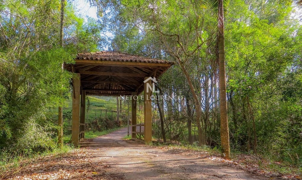 Fazenda-Sítio-Chácara, 265 hectares - Foto 5