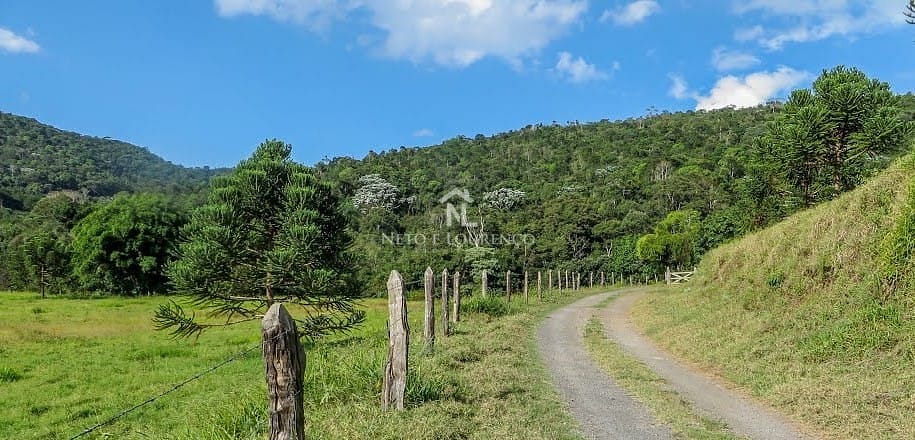 Fazenda, 265 hectares - Foto 6