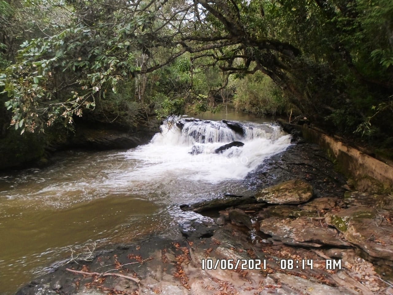 Fazenda, 265 hectares - Foto 16