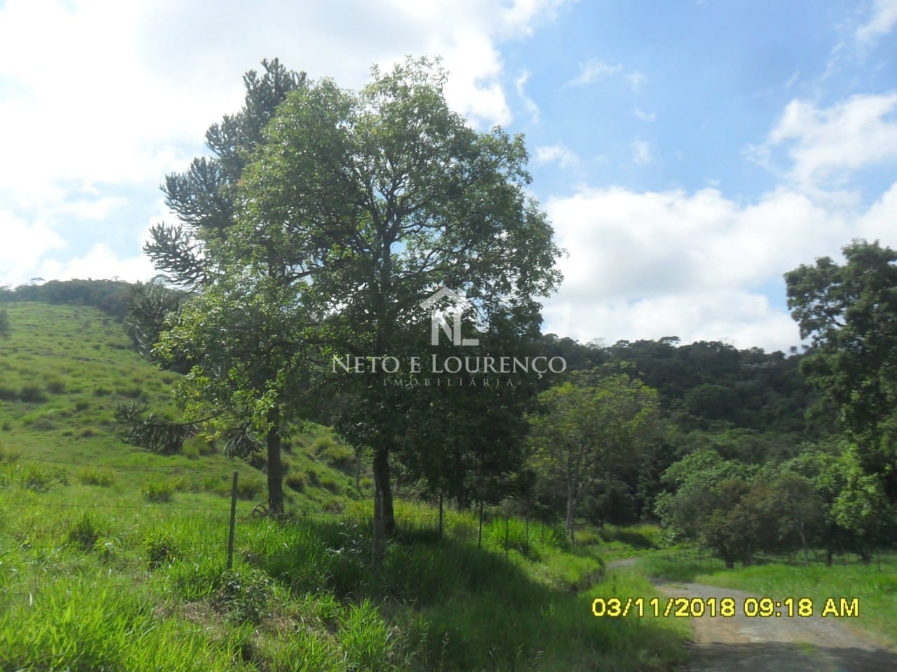 Fazenda, 265 hectares - Foto 17