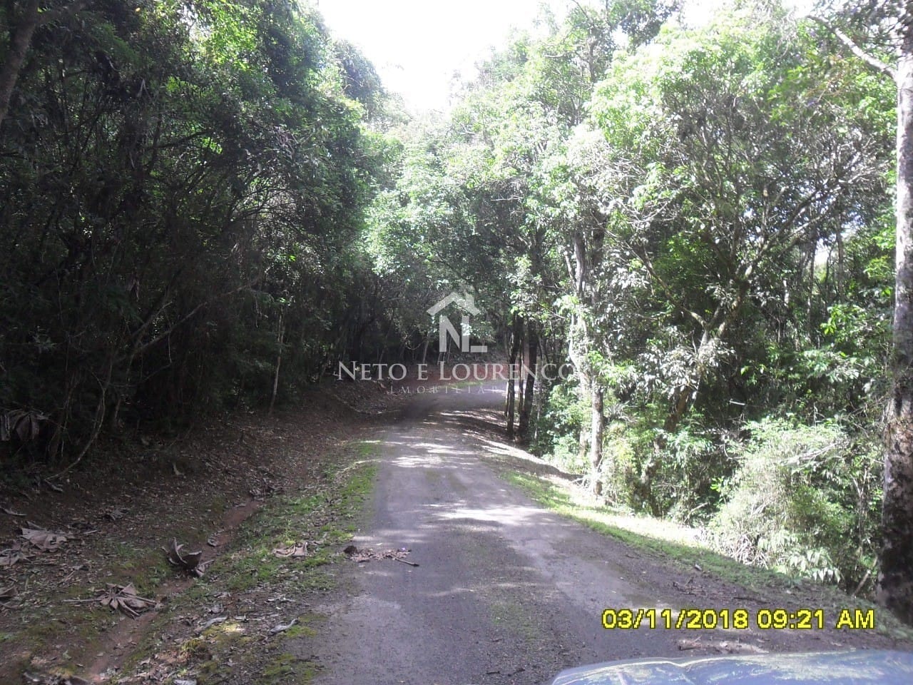 Fazenda, 265 hectares - Foto 20