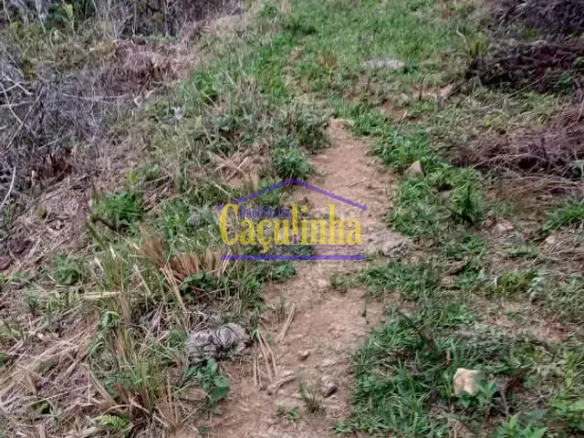Fazenda com 90902798800m², à venda, no bairro Lidice em Rio Claro
