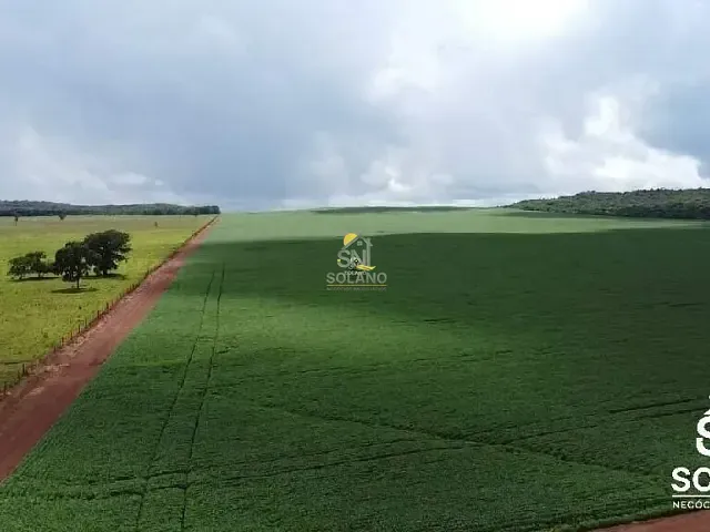 Fazenda com 1350m² 3 quartos e 4 banheiros, à venda, no bairro Centro em Primavera do Leste