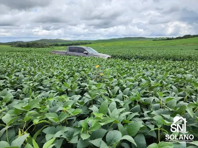 Fazenda com 1350m² 3 quartos e 4 banheiros, à venda, no bairro Centro em Primavera do Leste