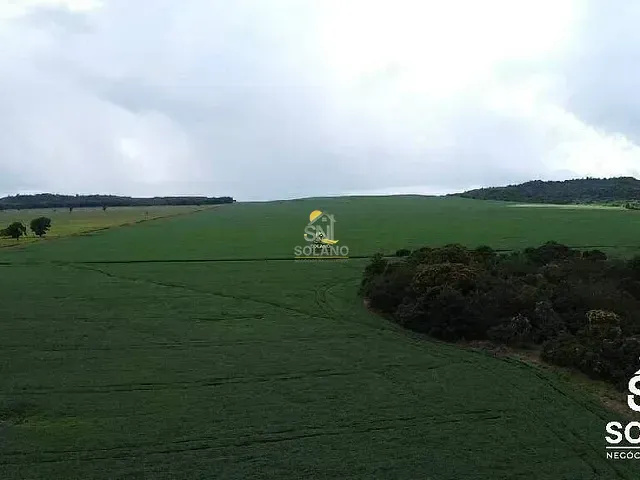 Fazenda com 1350m² 3 quartos e 4 banheiros, à venda, no bairro Centro em Primavera do Leste