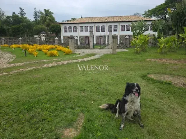 Fazenda com 480000m² 6 quartos e 4 banheiros, à venda, no bairro Centro em Bananal