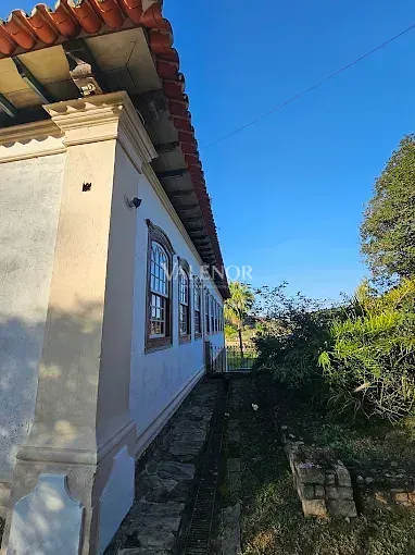 Fazenda, 48 hectares - Foto 4