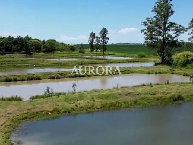 Fazenda com 338800m², à venda, no bairro Residencial São Francisco em Leópolis