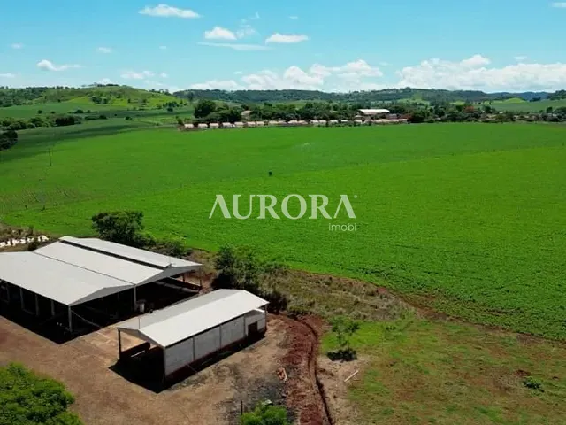 Fazenda com 338800m², à venda, no bairro Residencial São Francisco em Leópolis