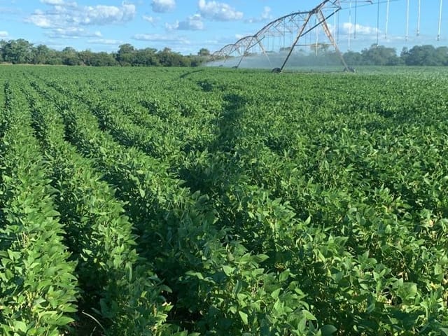 Fazenda com 5120000m² 4 quartos e 4 banheiros, à venda, no bairro RURAL em Matias Cardoso