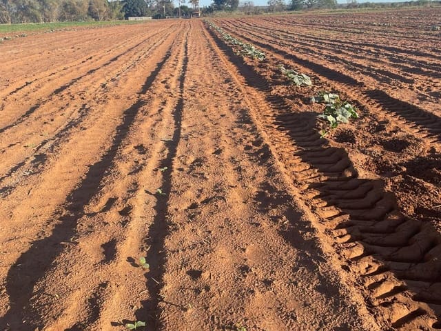 Fazenda com 5120000m² 4 quartos e 4 banheiros, à venda, no bairro RURAL em Matias Cardoso