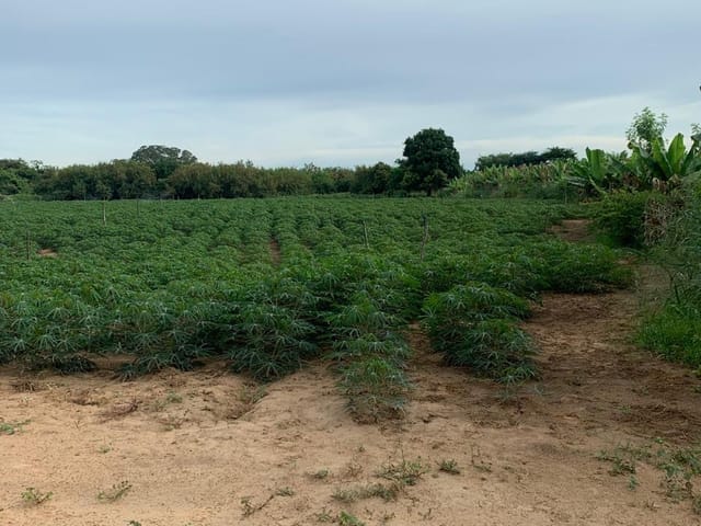 Fazenda com 5120000m² 4 quartos e 4 banheiros, à venda, no bairro RURAL em Matias Cardoso