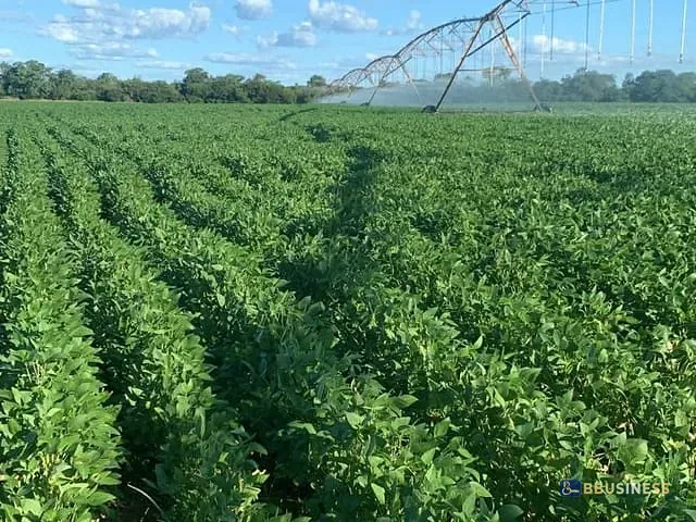 Fazenda com 5120000m² 4 quartos e 4 banheiros, à venda, no bairro RURAL em Matias Cardoso