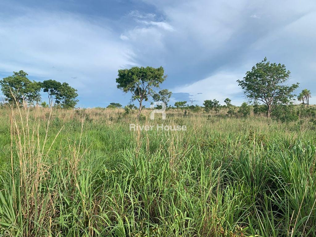 Fazenda à venda com 2 quartos, 180m² - Foto 11