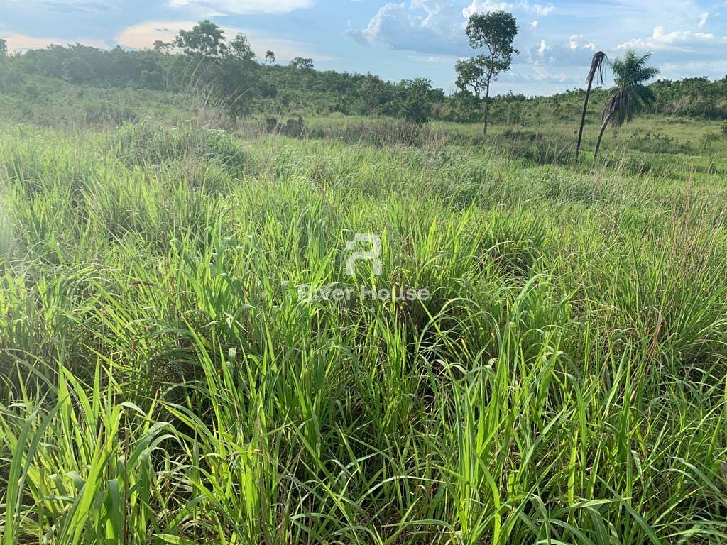 Fazenda à venda com 2 quartos, 180m² - Foto 10