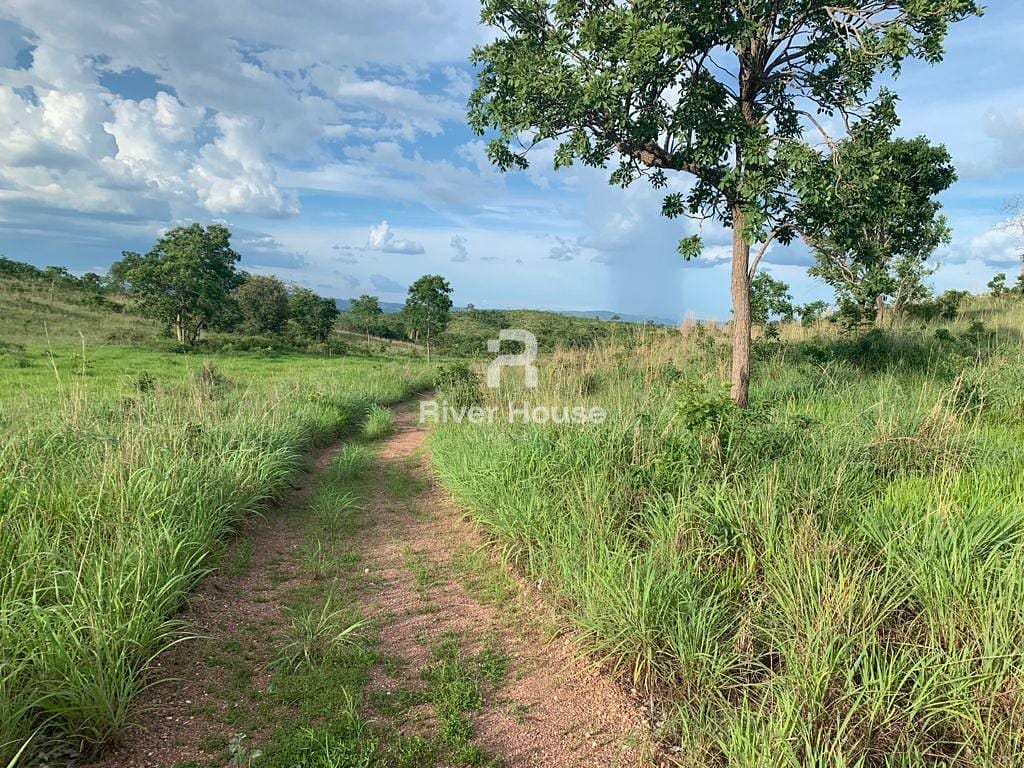 Fazenda à venda com 2 quartos, 180m² - Foto 12