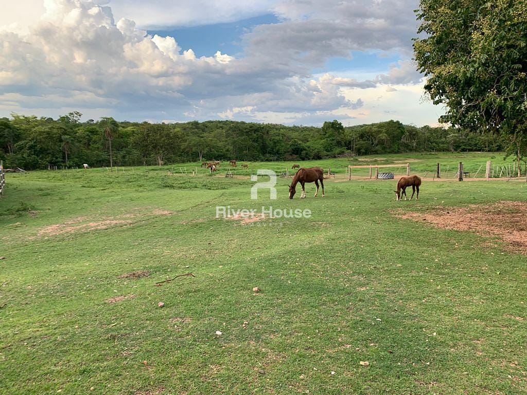 Fazenda à venda com 2 quartos, 180m² - Foto 7