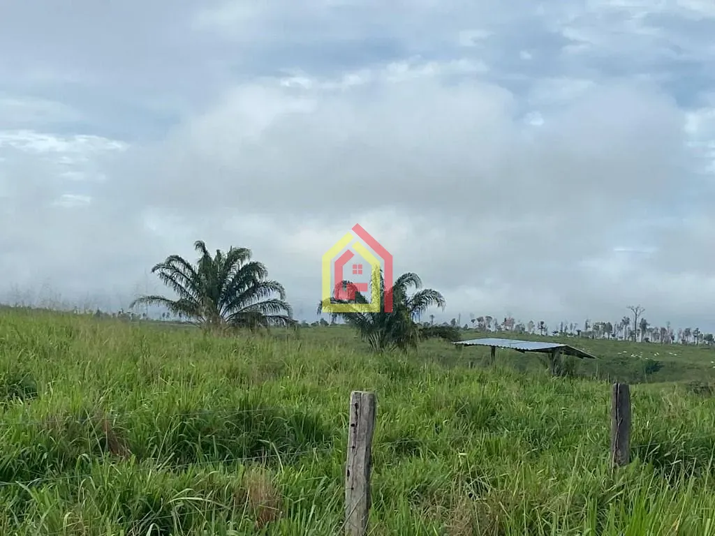 Rural à venda com 9196000m² de terreno no Fazenda, Breu Branco (PA) — foto 16 de 16